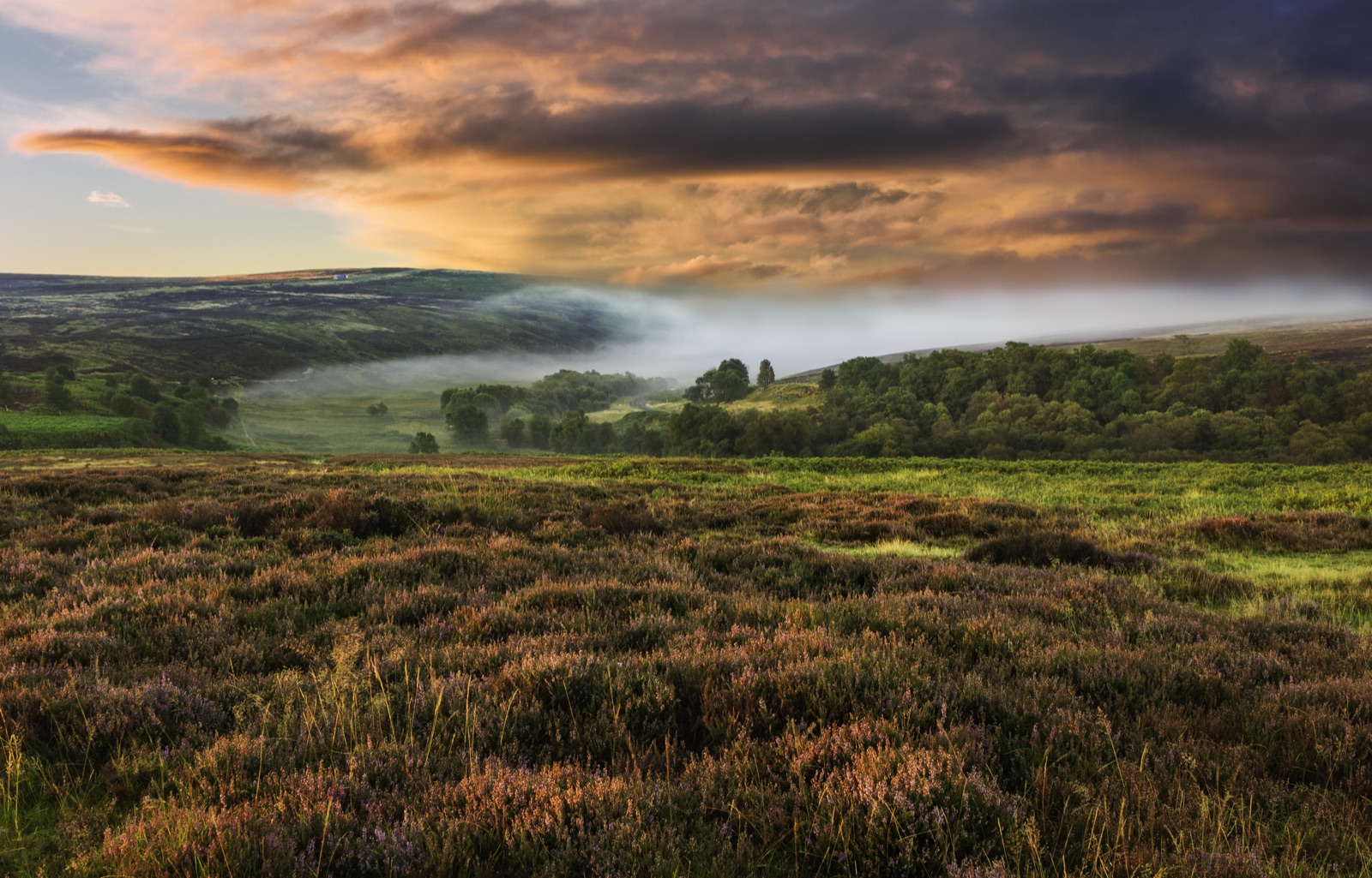 Early morning on the North York Moors: mist lying in a green valley below rolling heather moorland under a gold and gray sky.